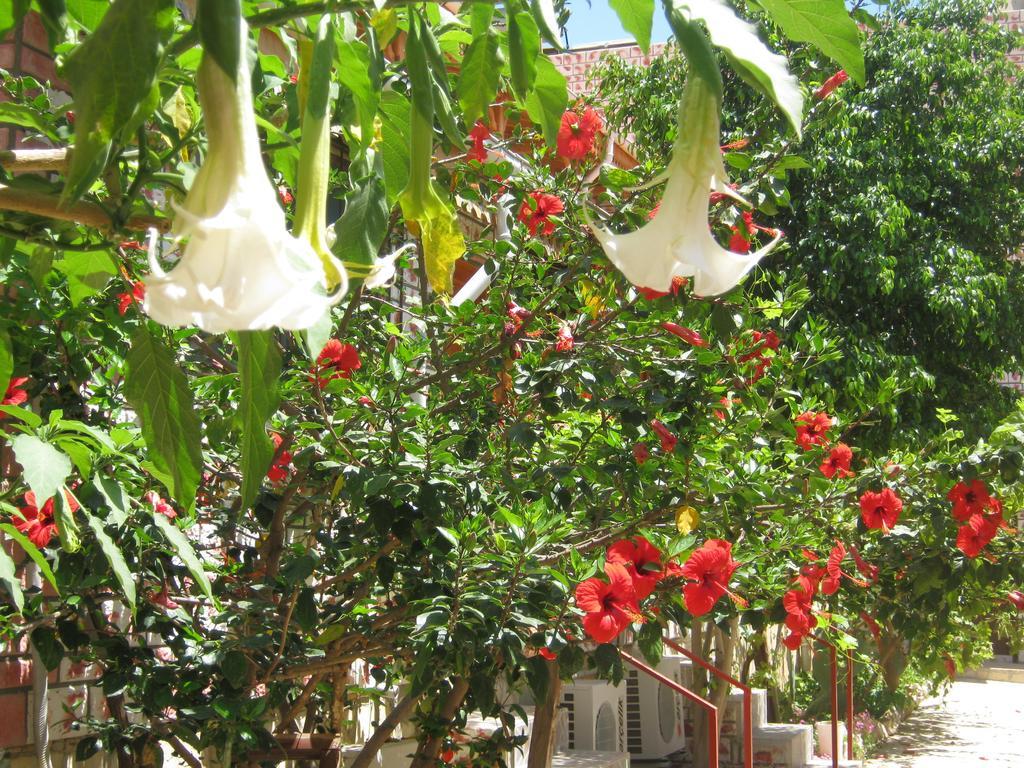 Anfora Apart Pansiyon Erdemli Exterior photo